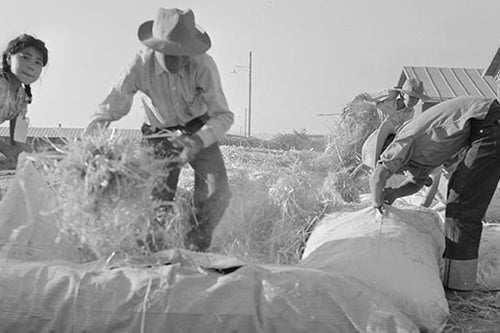 Quelle est l’histoire du matelas ?