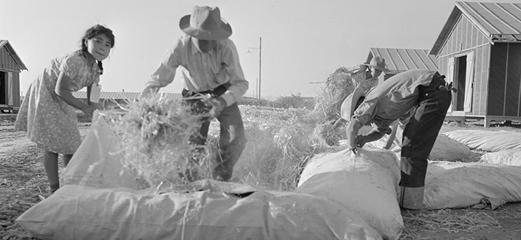 Quelle est l’histoire du matelas ?